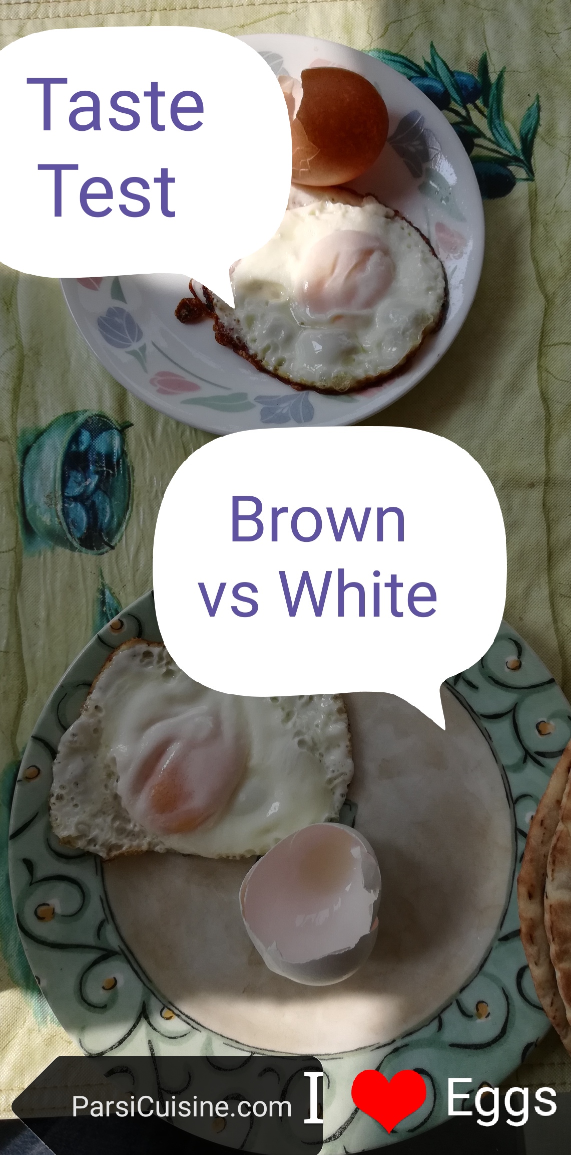 Brown Eggs or White Eggs? Test done in the Parsi Cuisine Kitchen